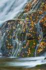 USA, North Carolina, Great Smoky Mountains. Indian Creek Falls waterfall. Art Print